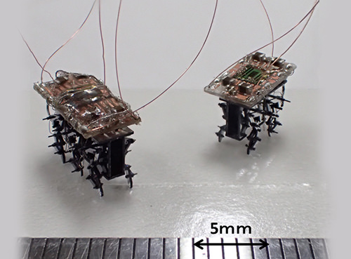昆虫型ロボットとその動作を制御する人工脳