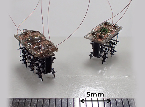 곤충형 로봇과 그 동작을 제어하는 인공 뇌